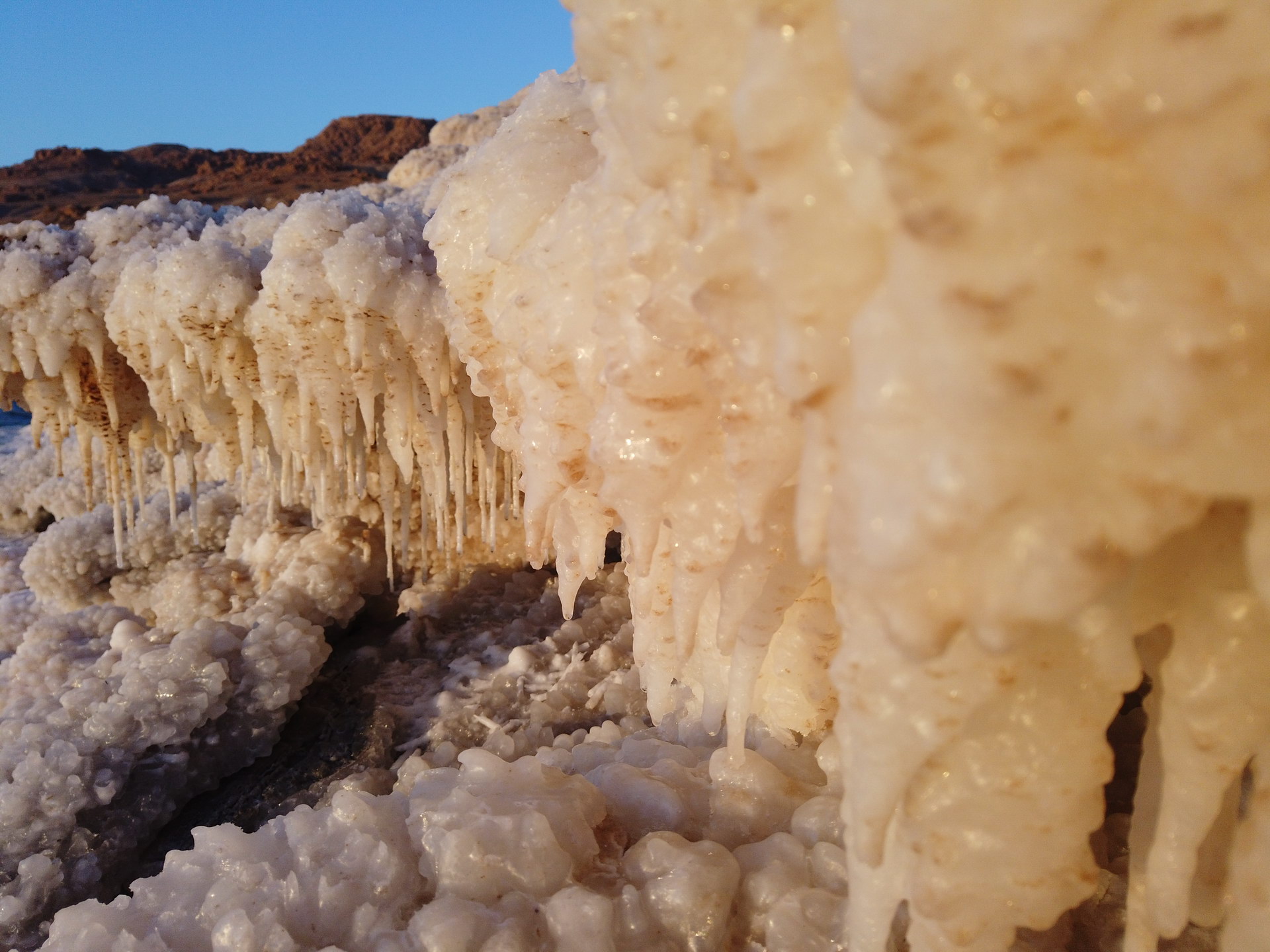 Exciting Developments at the Dead Sea Enhance Visitor Experience